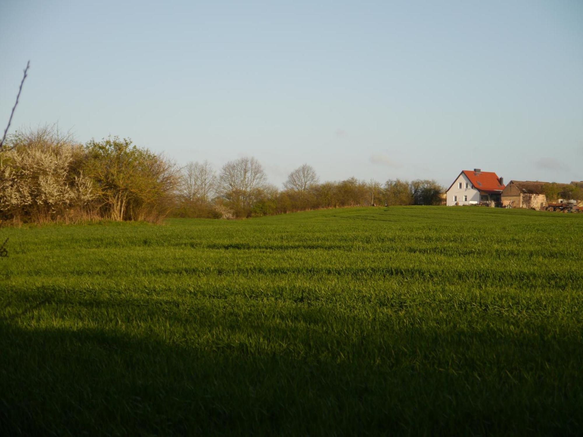 Ferienhaus-Uckermarkblick Rosenow  Esterno foto